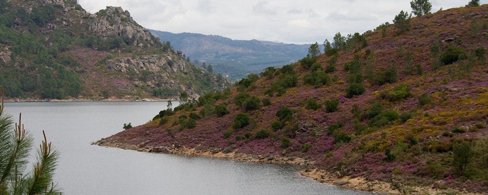 National Parc Da Peneda-Geres